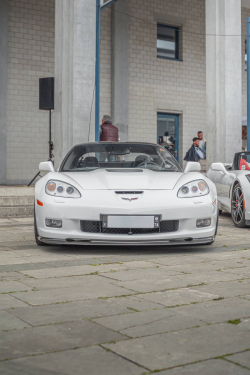 American Backstage #12 - Photo 163