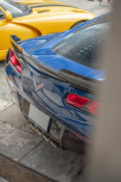 American Backstage #12 - Photo 166