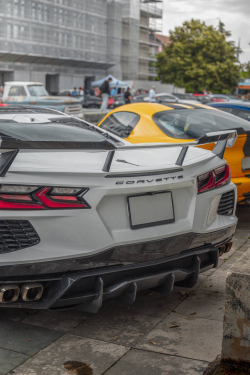 American Backstage #12 - Photo 167