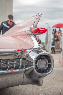 American Backstage #12 - Photo 168