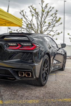 American Backstage #12 - Photo 169