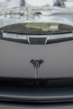 American Backstage #12 - Photo 170