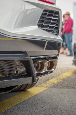 American Backstage #12 - Photo 172