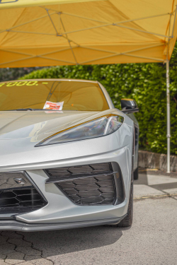 American Backstage #12 - Photo 177