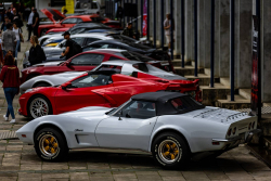 American Backstage #12 - Photo 187