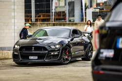 American Backstage #12 - Photo 190