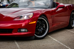 American Backstage #12 - Photo 192