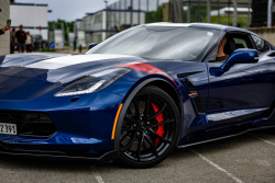 American Backstage #12 - Photo 194