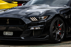 American Backstage #12 - Photo 195