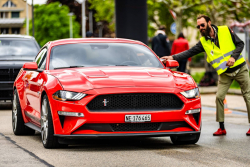 American Backstage #12 - Photo 201