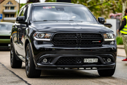 American Backstage #12 - Photo 202