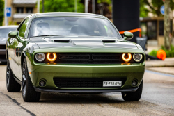 American Backstage #12 - Photo 203