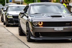 American Backstage #12 - Photo 204