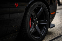 American Backstage #12 - Photo 206