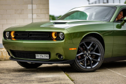 American Backstage #12 - Photo 208