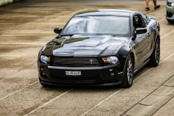 American Backstage #12 - Photo 213