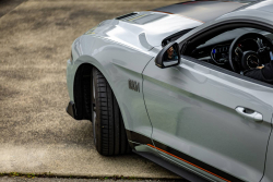 American Backstage #12 - Photo 214