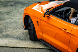 American Backstage #12 - Photo 215