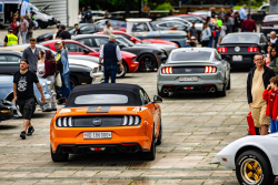 American Backstage #12 - Photo 217