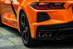 American Backstage #12 - Photo 221