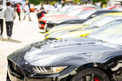 American Backstage #12 - Photo 222