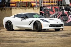 American Backstage #12 - Photo 223