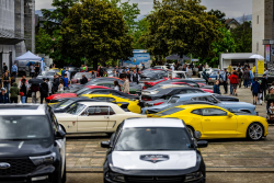 American Backstage #12 - Photo 226