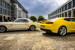 American Backstage #12 - Photo 227