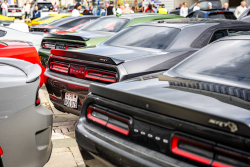 American Backstage #12 - Photo 232