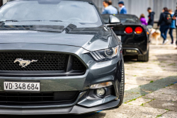 American Backstage #12 - Photo 233