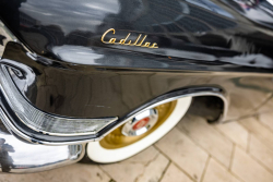 American Backstage #12 - Photo 242