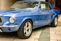 American Backstage #12 - Photo 243