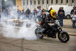 American Backstage #12 - Photo 263