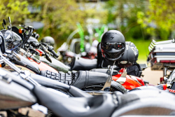 American Backstage #12 - Photo 269