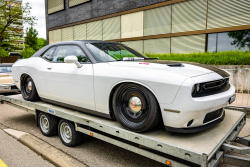 American Backstage #12 - Photo 272