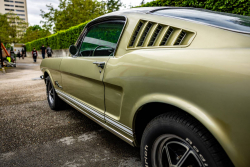 American Backstage #12 - Photo 275