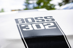 American Backstage #12 - Photo 277