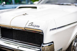 American Backstage #12 - Photo 279