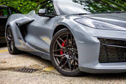 American Backstage #12 - Photo 282