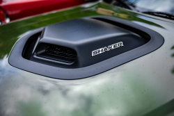 American Backstage #12 - Photo 291