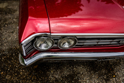 American Backstage #12 - Photo 294