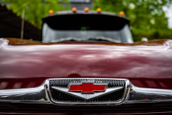 American Backstage #12 - Photo 297