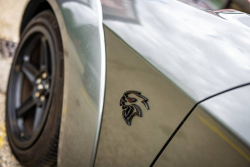 American Backstage #12 - Photo 298