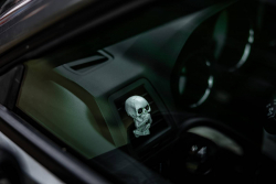 American Backstage #12 - Photo 299