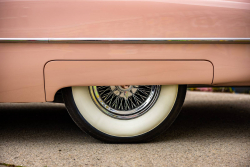 American Backstage #12 - Photo 304