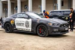 American Backstage #12 - Photo 307