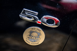 American Backstage #12 - Photo 321