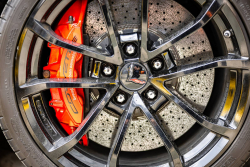 American Backstage #12 - Photo 327