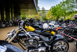 American Backstage #12 - Photo 330