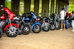 American Backstage #12 - Photo 331